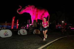 BIB: 
                            <button type="button" onclick="openModal(26534396)" class="btn btn-primary btn-sm float-right btn-popup" data-toggle="modal" data-target=".modal-high-quality">
                        <i class="fas fa-shopping-cart"></i> Add to Cart
                    </button>
                                            <button type="button" onclick="isThisMe(26534396, true)" class="btn btn-success btn-sm float-right btn-popup btn-isme hidden" data-toggle="tooltip" data-placement="bottom" title="นี่คือรูปของคุณใช่ไหม คลิกที่นี่เพื่อเอาเข้าอัลบั้ม">
                        <i class="fas fa-plus"></i> Add to album
                    </button>
                    <button type="button" onclick="isThisMe(26534396, false)" class="btn btn-warning btn-sm float-right btn-popup btn-isnotme hidden">
                        <i class="fas fa-ban"></i> Remove from album
                    </button>